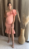 Vestido de maternidad, Aurelia salmon