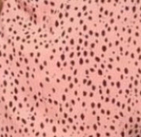 dalmatians polyester fabric