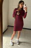 Larisa wine maternity and nursing dress